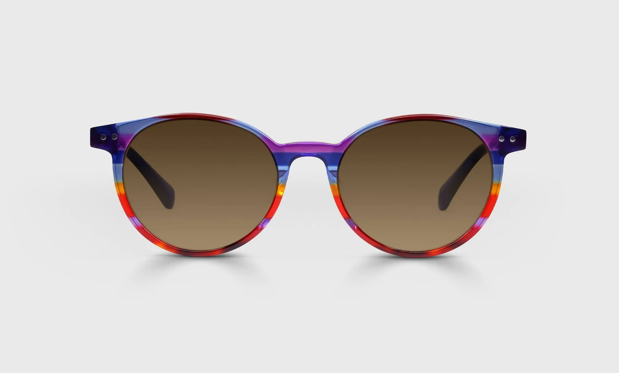 Case Closed Sunglasses