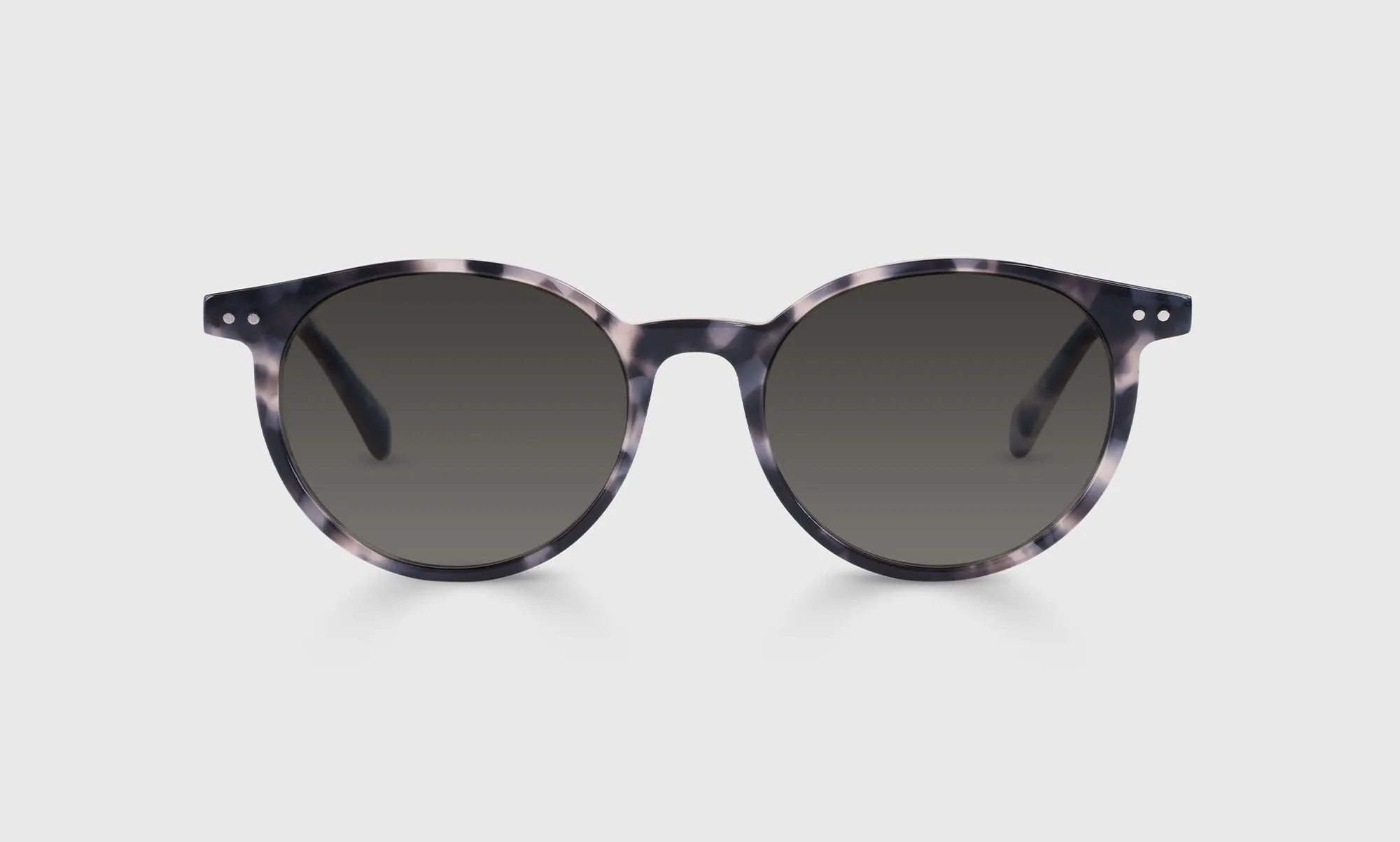Case Closed Sunglasses