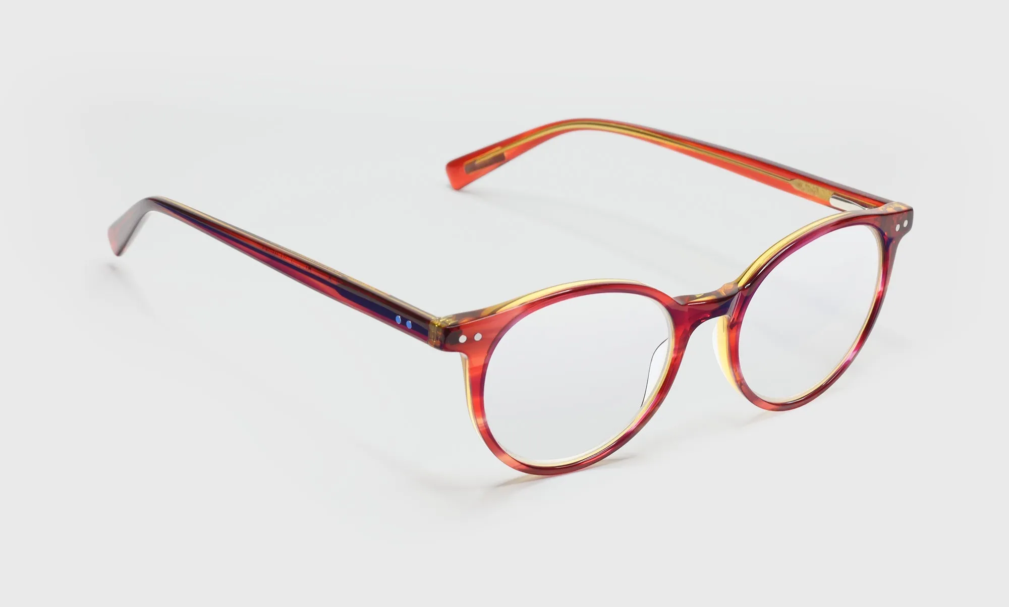 Case Closed Sunglasses