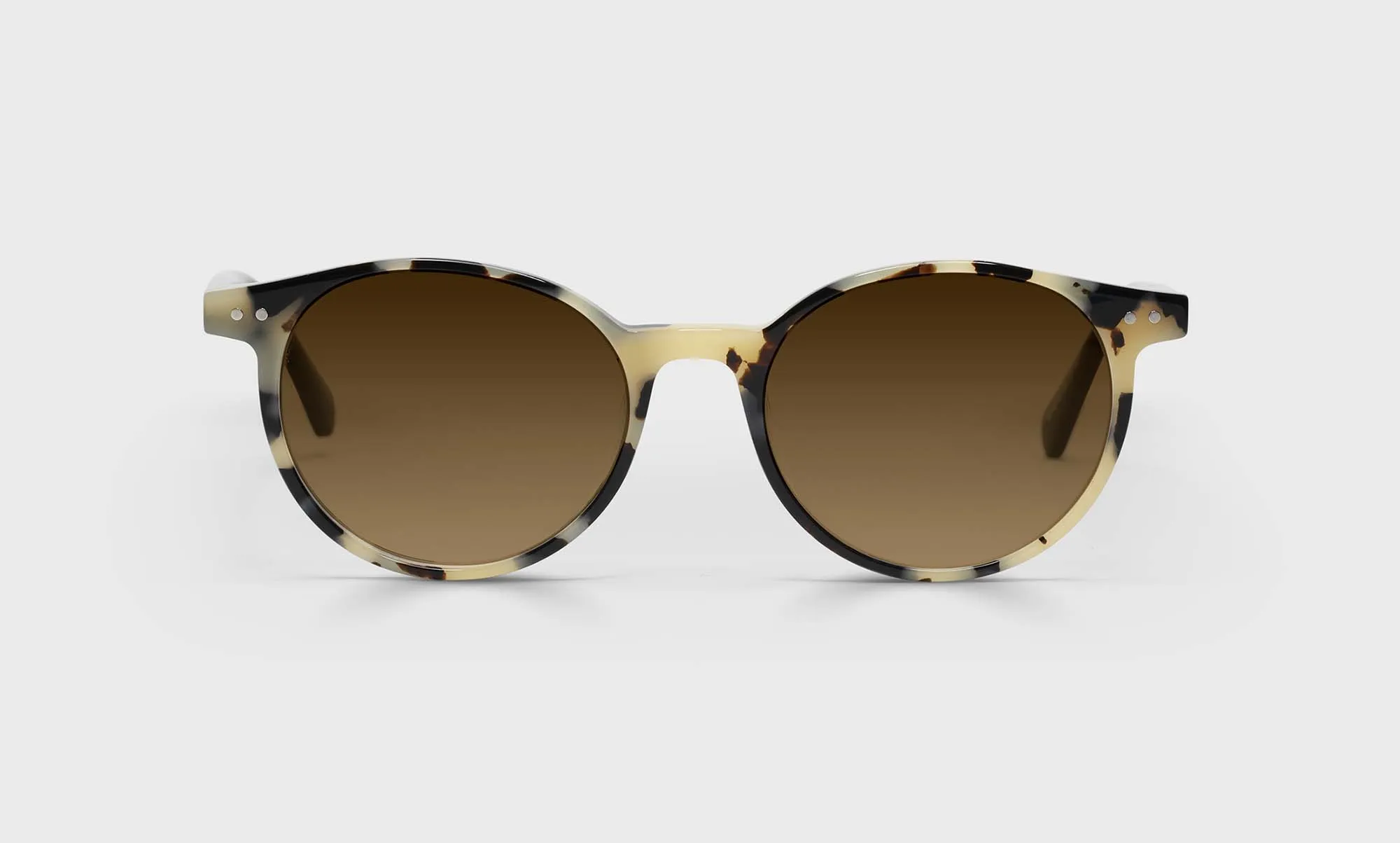 Case Closed Sunglasses