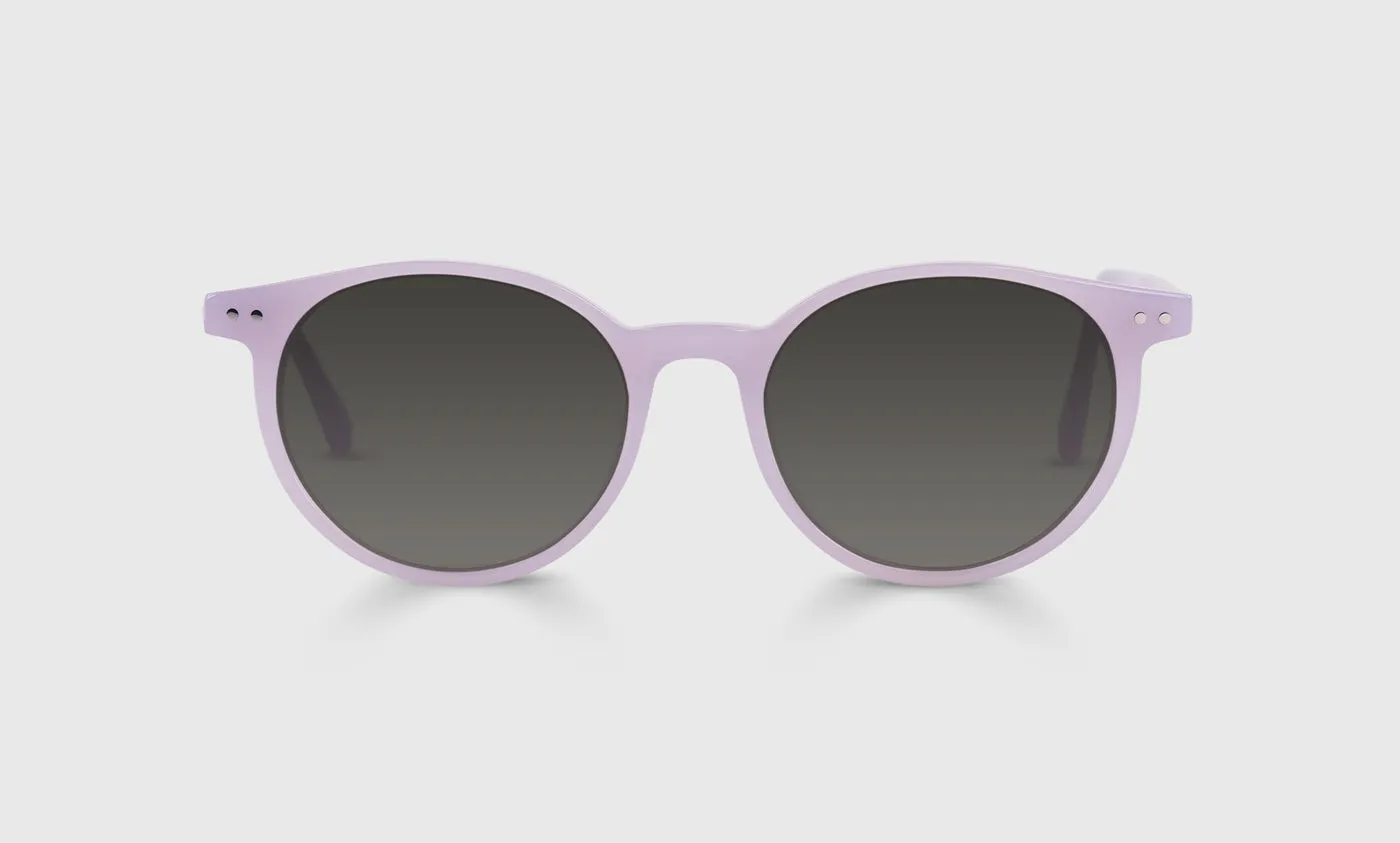 Case Closed Sunglasses