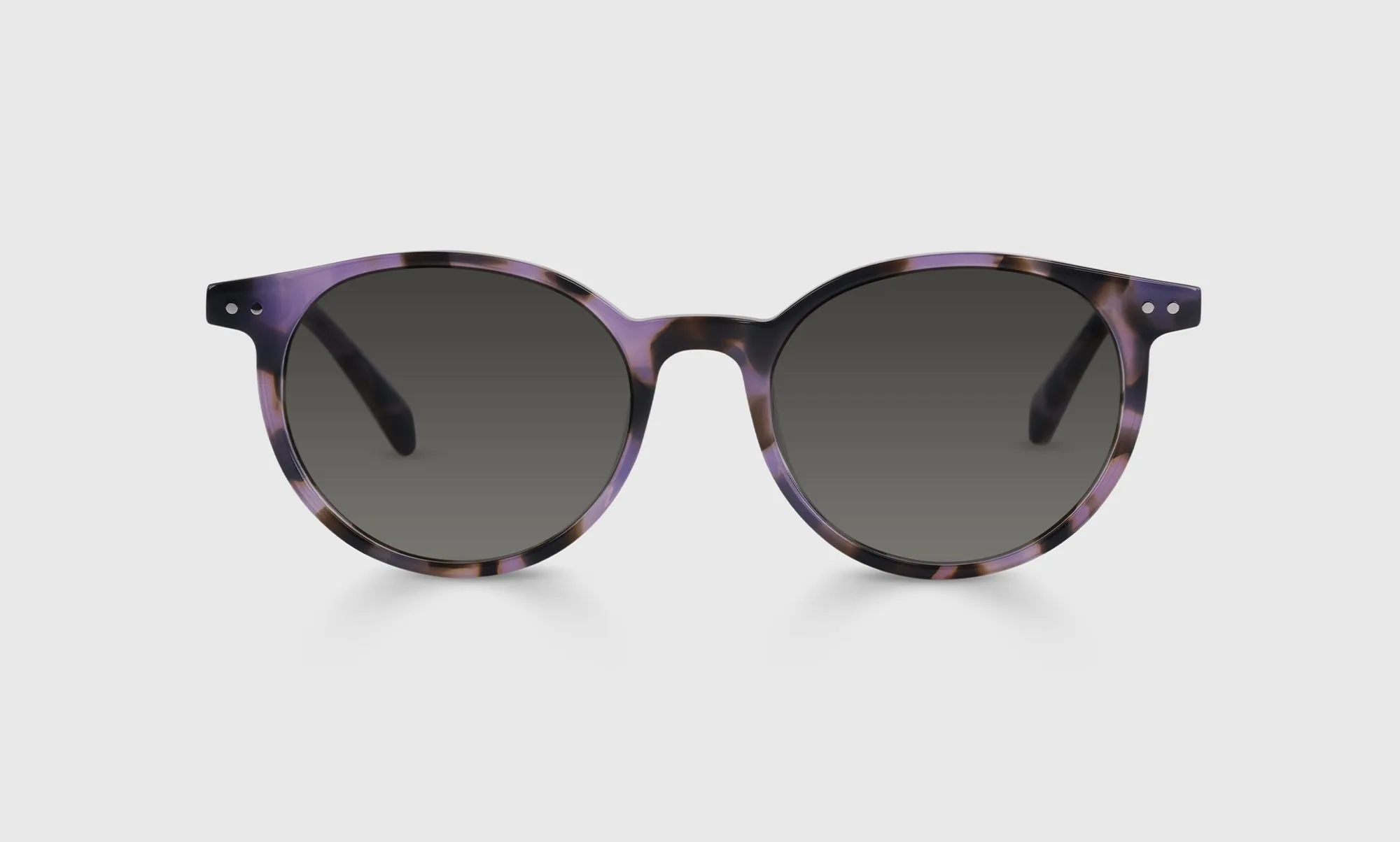 Case Closed Sunglasses