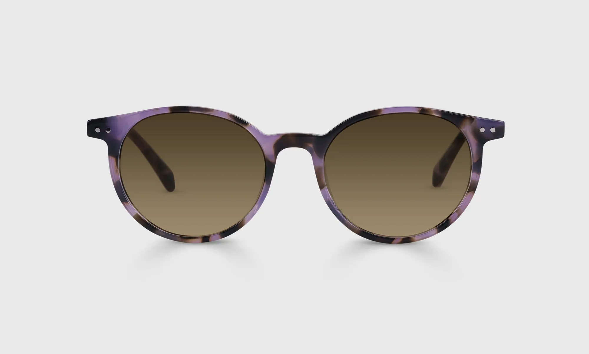 Case Closed Sunglasses