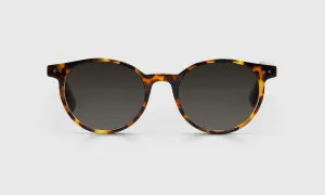 Case Closed Sunglasses
