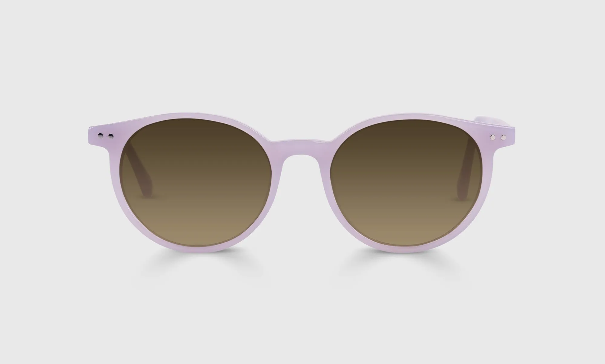 Case Closed Sunglasses