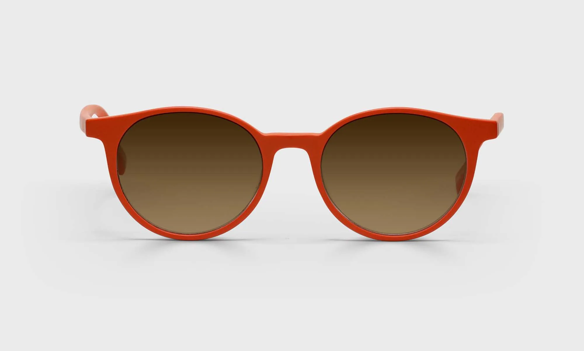 Case Closed Sunglasses
