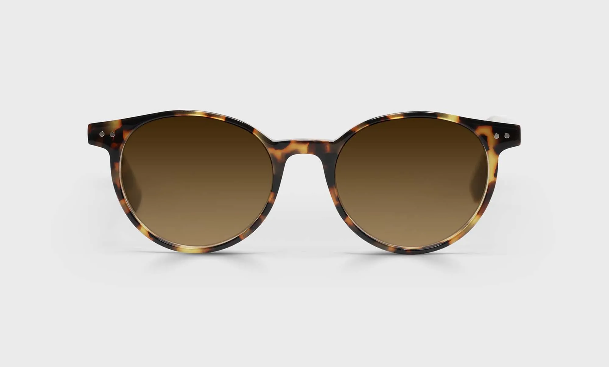 Case Closed Sunglasses
