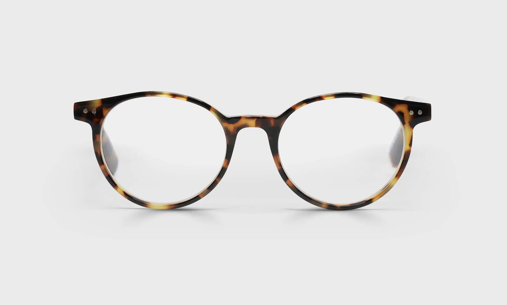 Case Closed Sunglasses