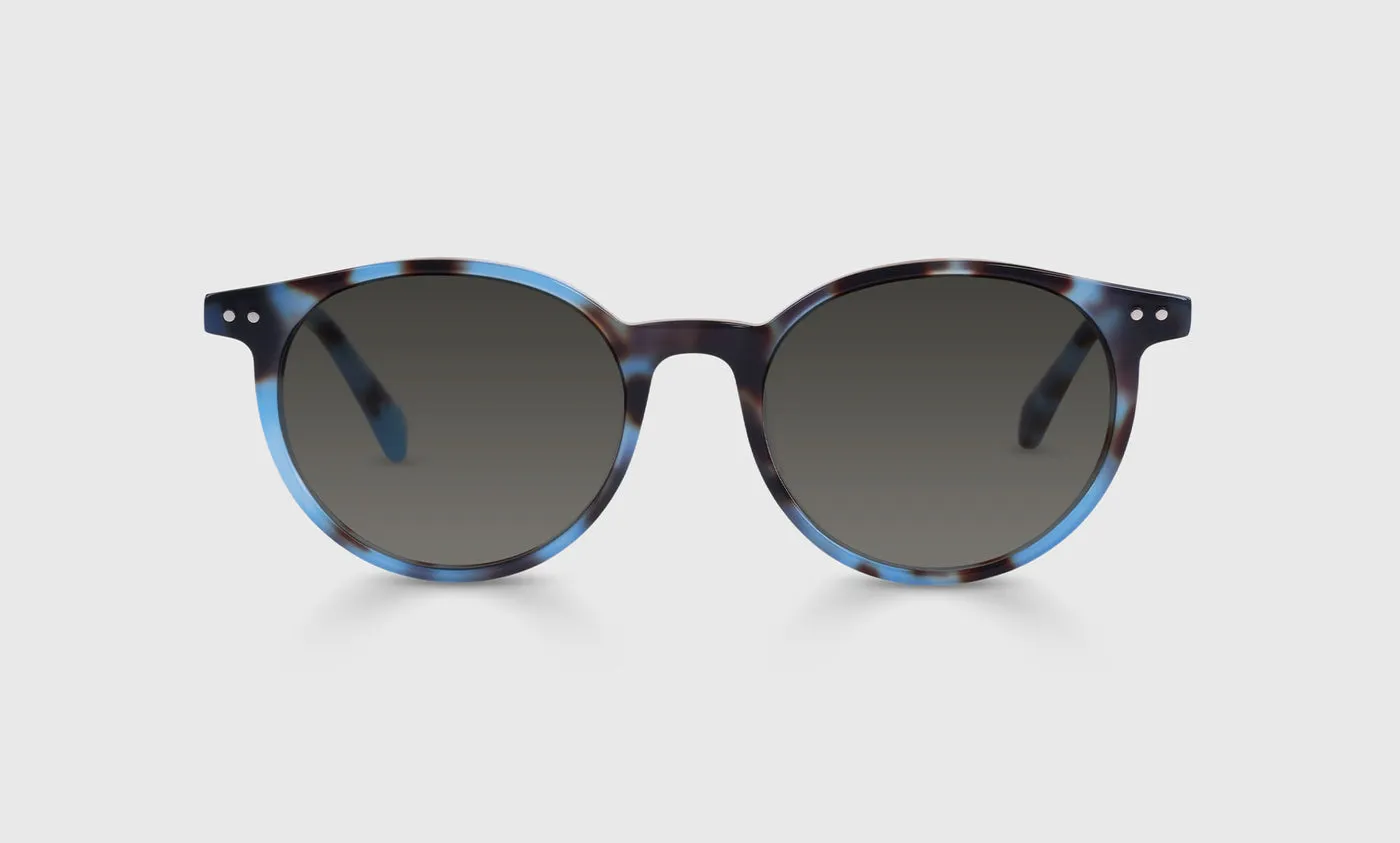 Case Closed Sunglasses