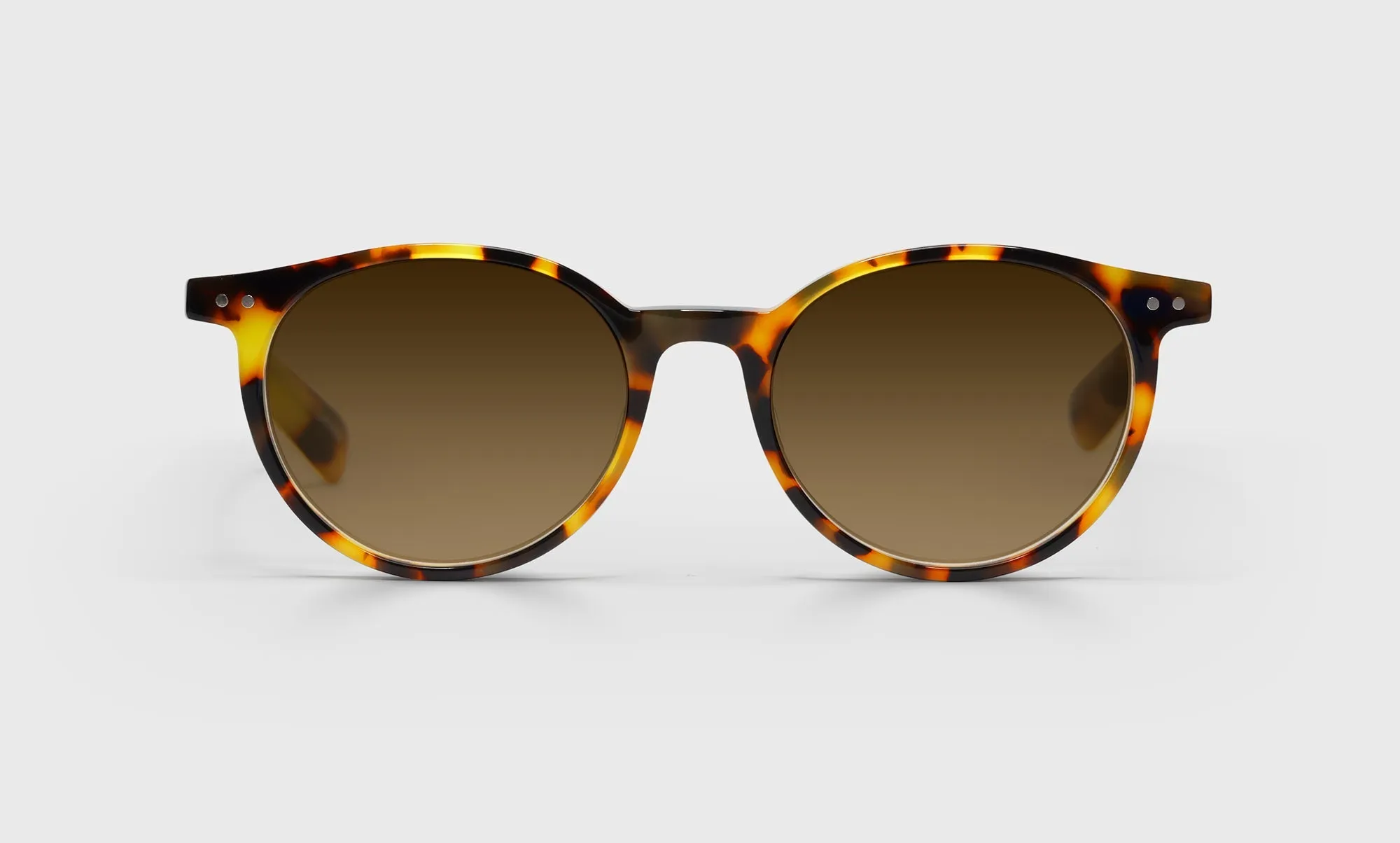 Case Closed Wide Prescription Glasses