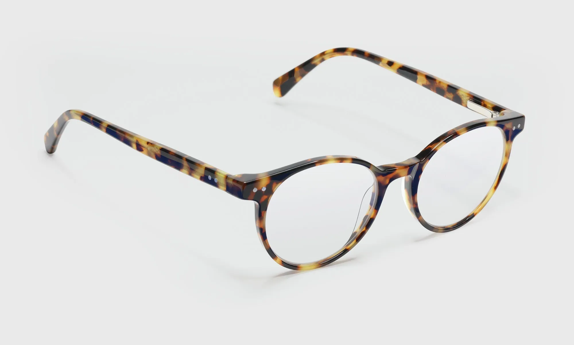 Case Closed Wide Prescription Glasses