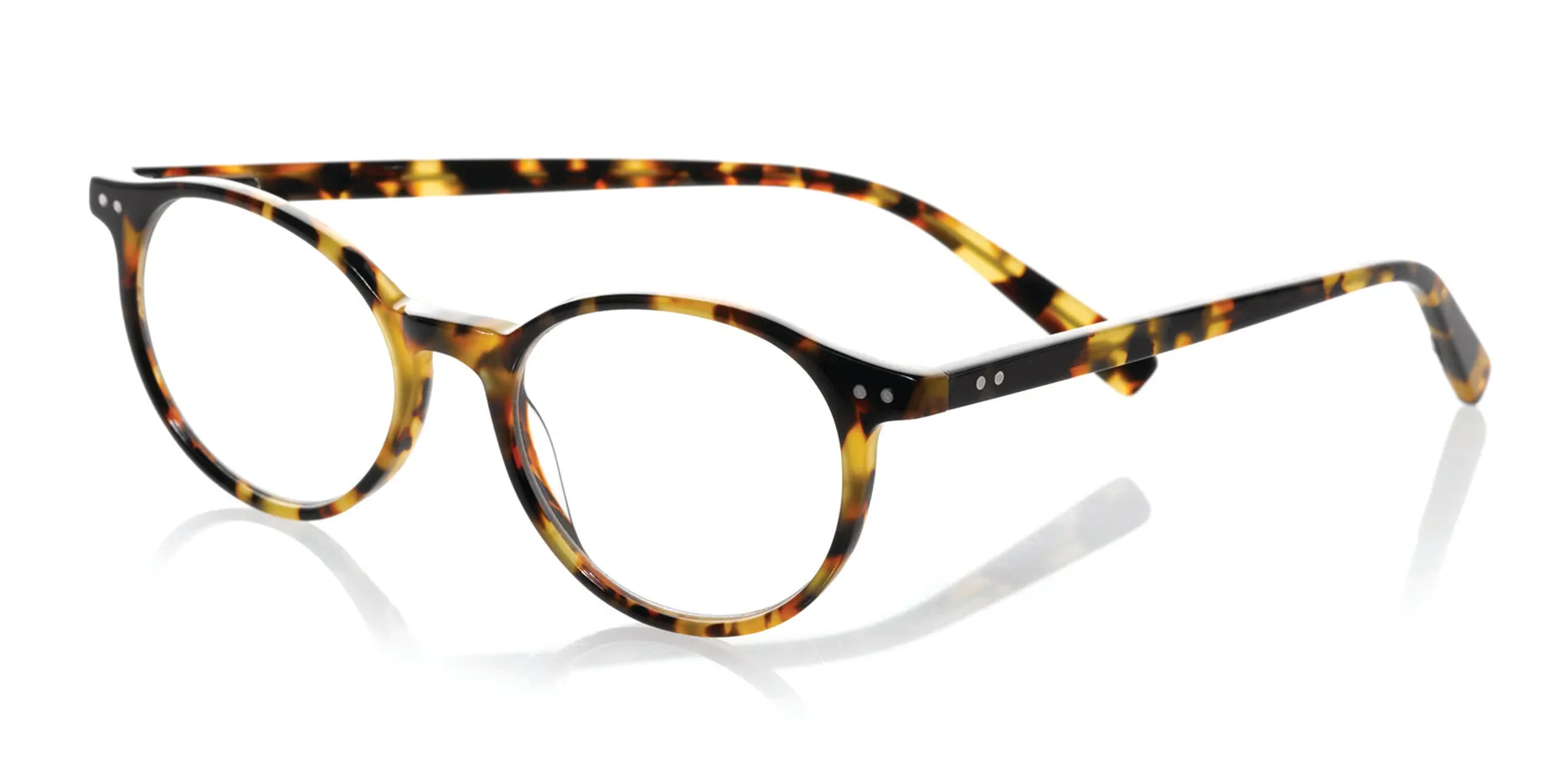 Case Closed Wide Prescription Glasses
