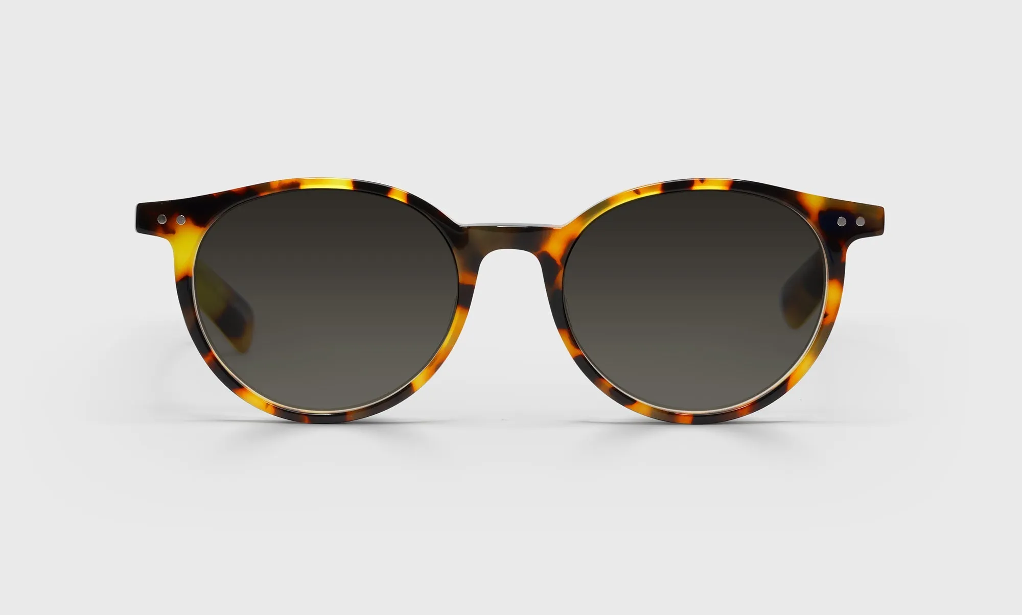 Case Closed Wide Prescription Glasses