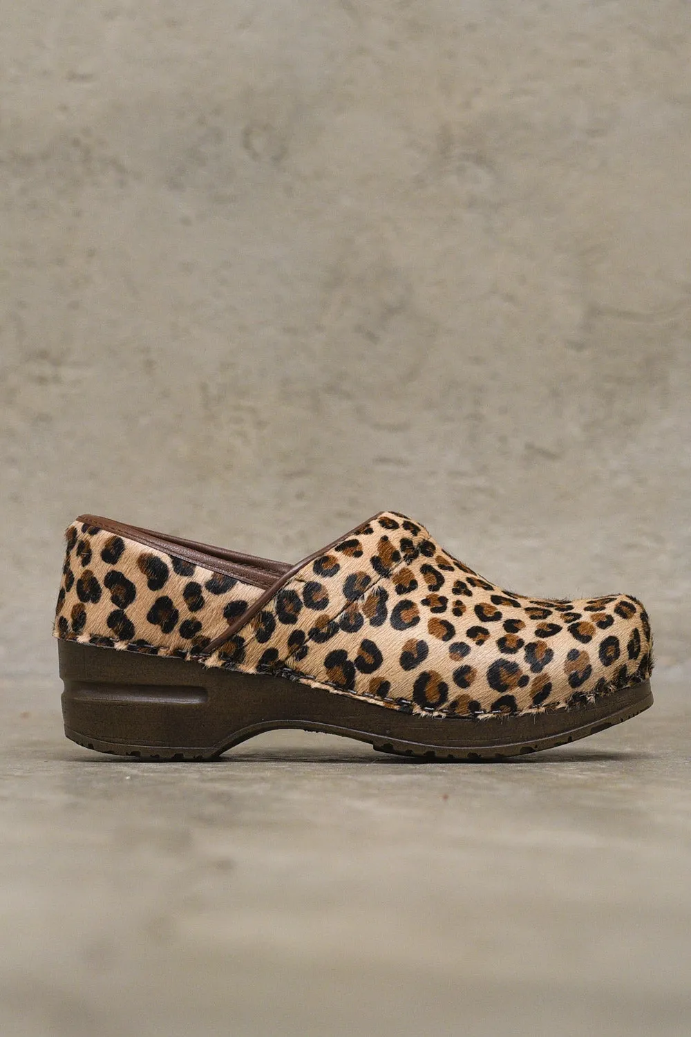 Closed Pony - Leopard