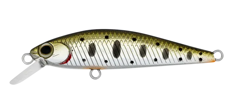 Daiwa Silvercreek DR Minnow Hard Body Lure 50S
