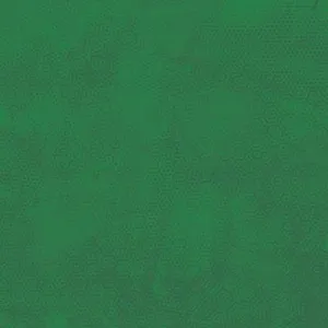 Dimples Evergreen