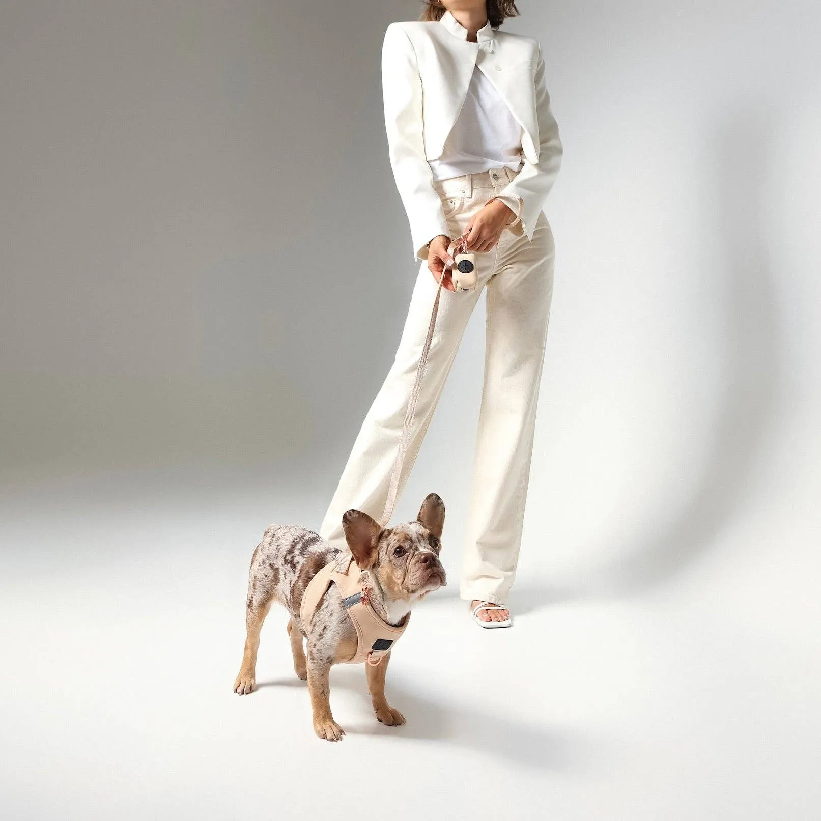 Doodle Couture, New York - Secure-In-Place Dog Leash - Dune