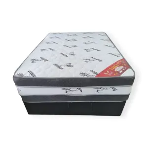 Double Base Set 20 Year