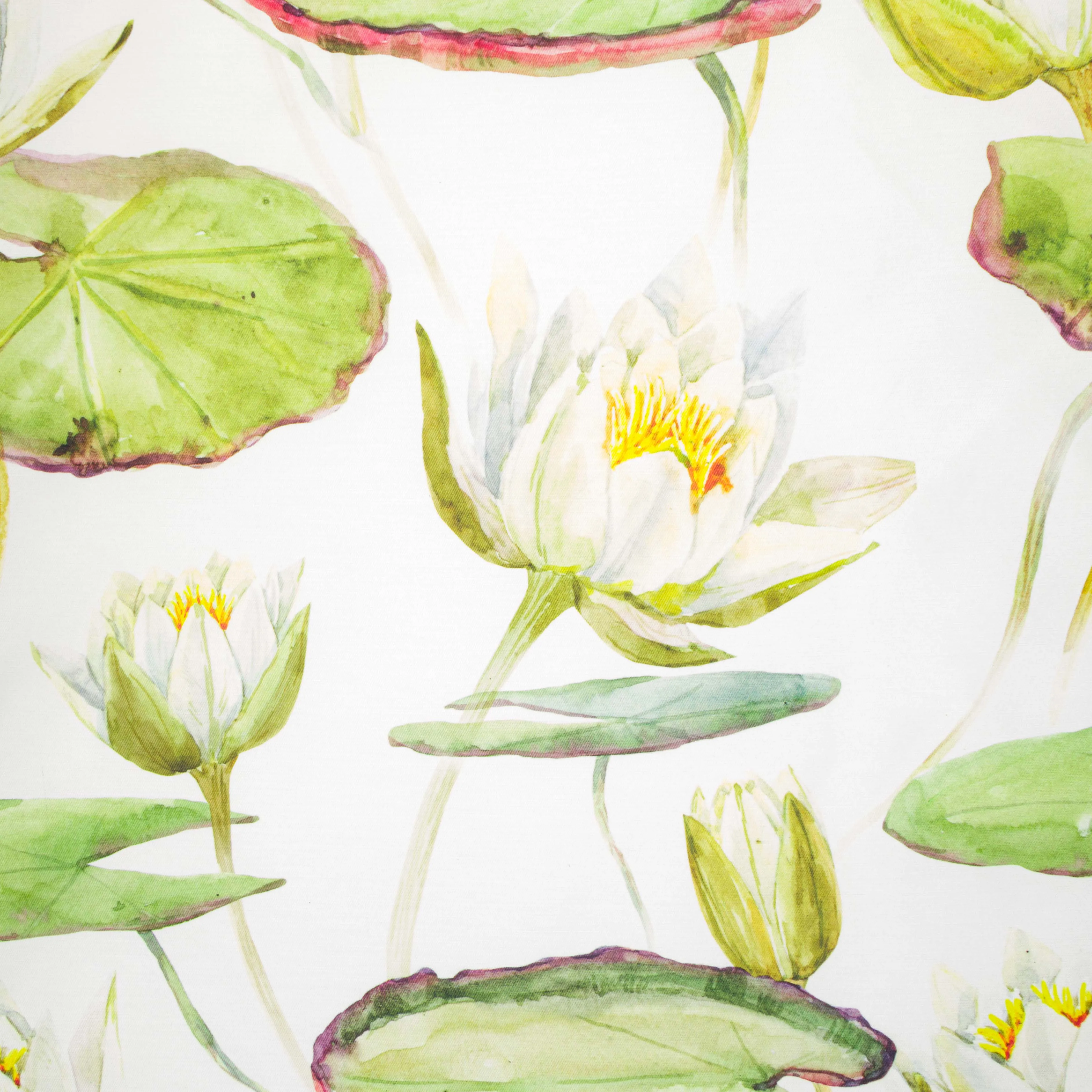 Eco Lily Pad