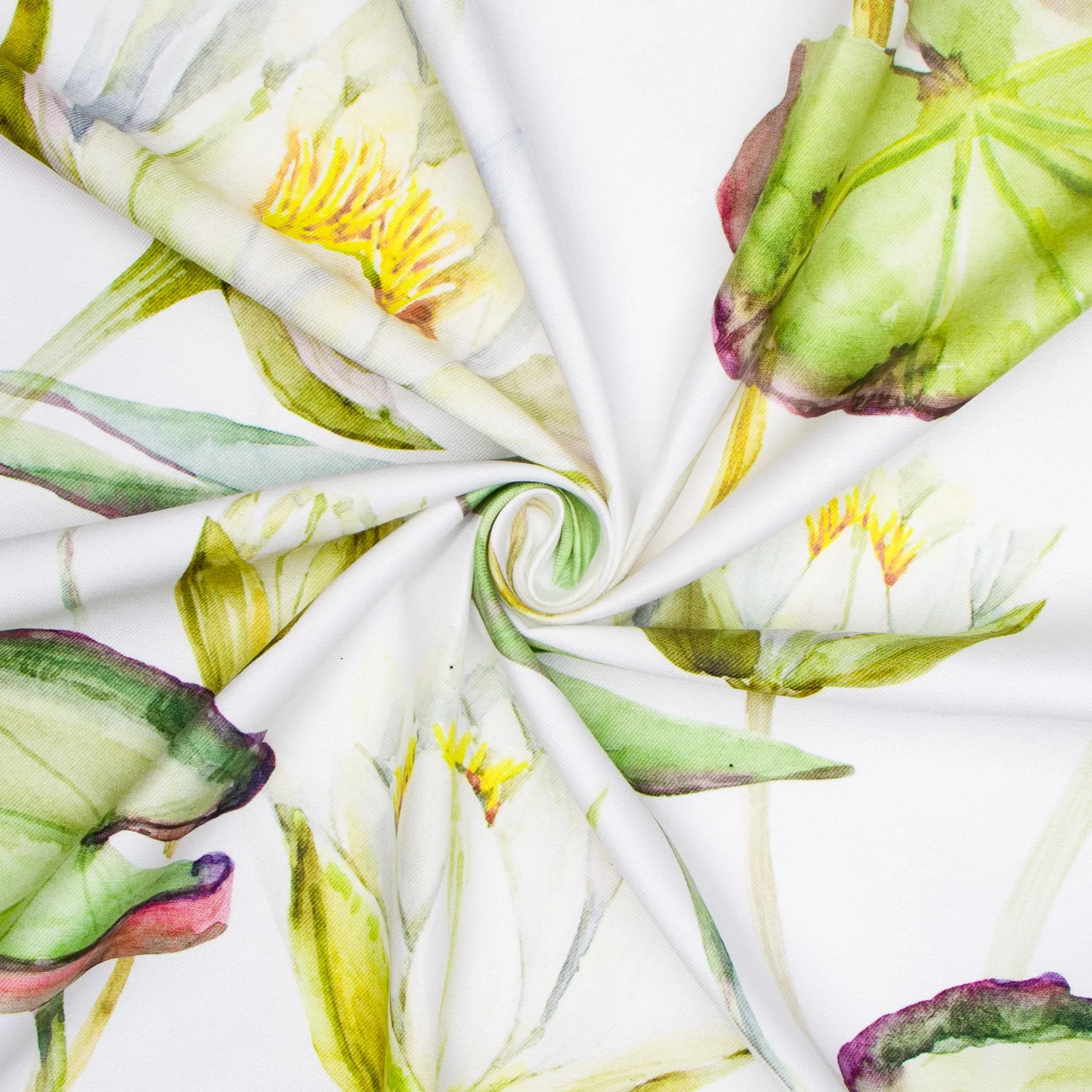 Eco Lily Pad