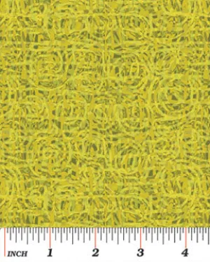 Extreme Colors Lime