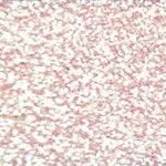 Glitter Tub