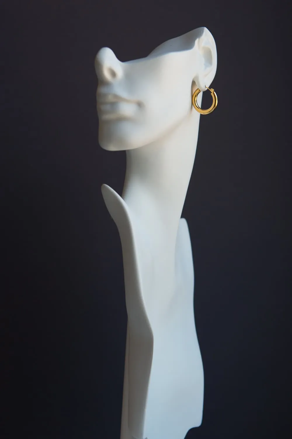 Gold Small Thick Hoop Earrings