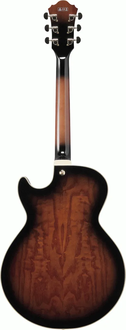 Ibanez AG95QA DBS Electric Guitar