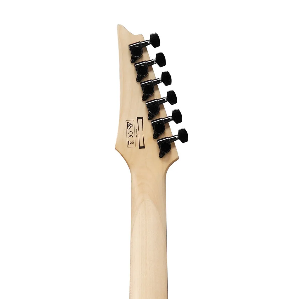 Ibanez Gio GRG120QASP-BGD 6-String Electric Guitar, Blue Gradiation