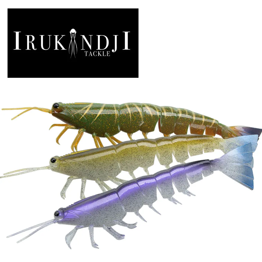 Irukandji Megaprawn 100