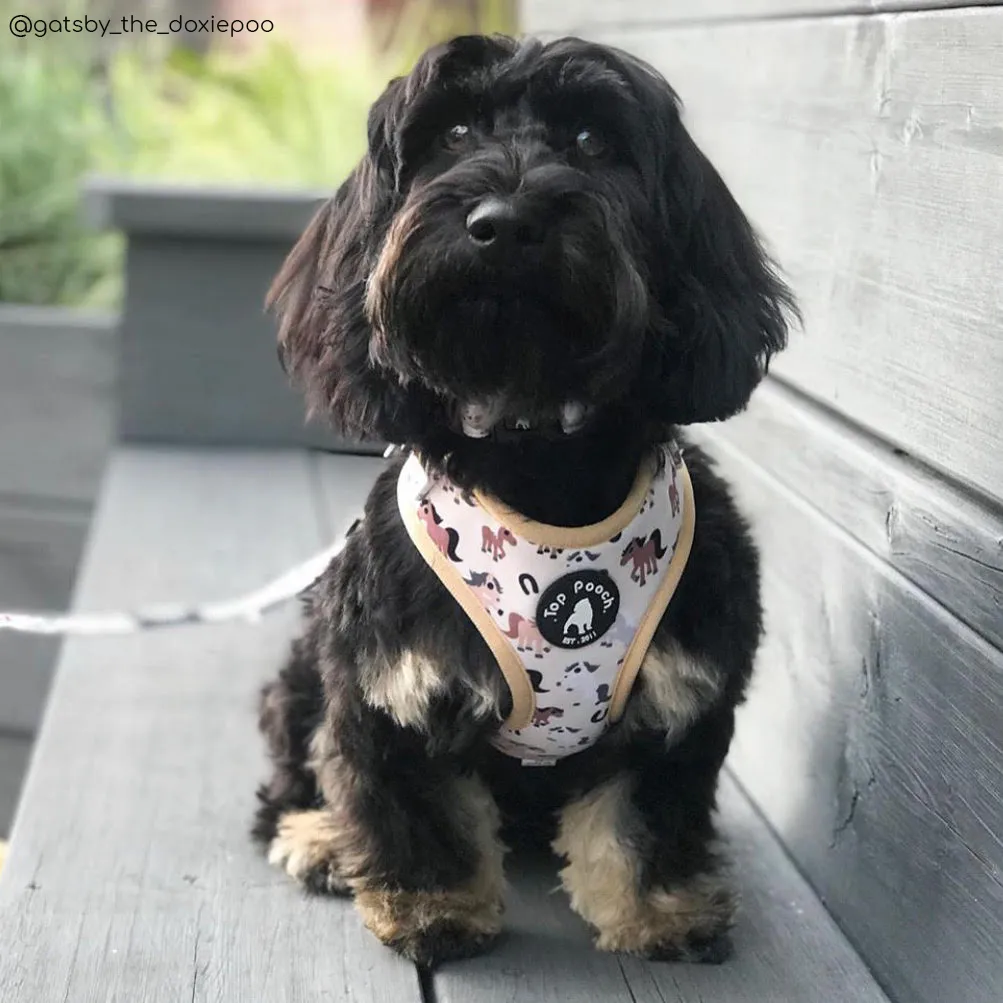 Lucky Horses Dog Harness