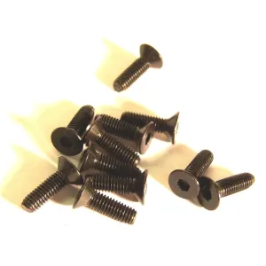 M4 x 10mm 4 x 10 Black Inner Hex Flat Socket Screw x 10