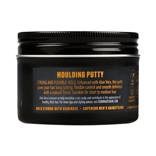 Moulding Putty