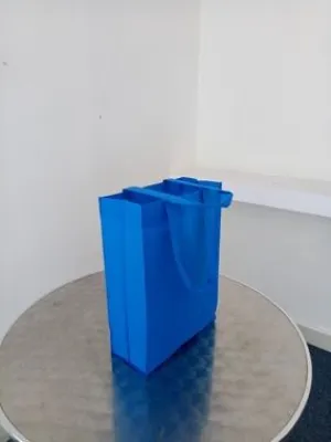 NON WOVEN BAG (SKY BLUE) - (260 100)mm X 350mm x 75gsm