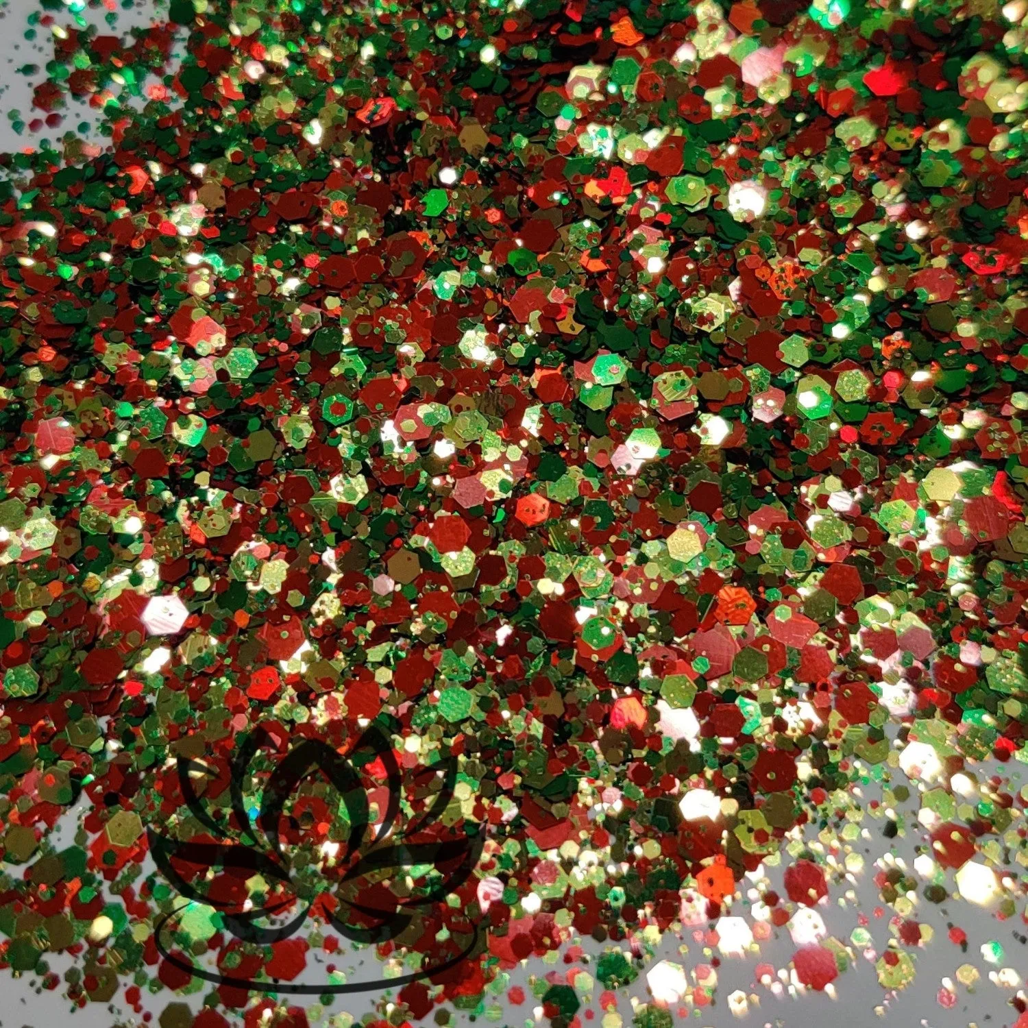 Poinsettia