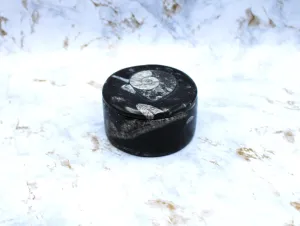 Polished Orthoceras Box