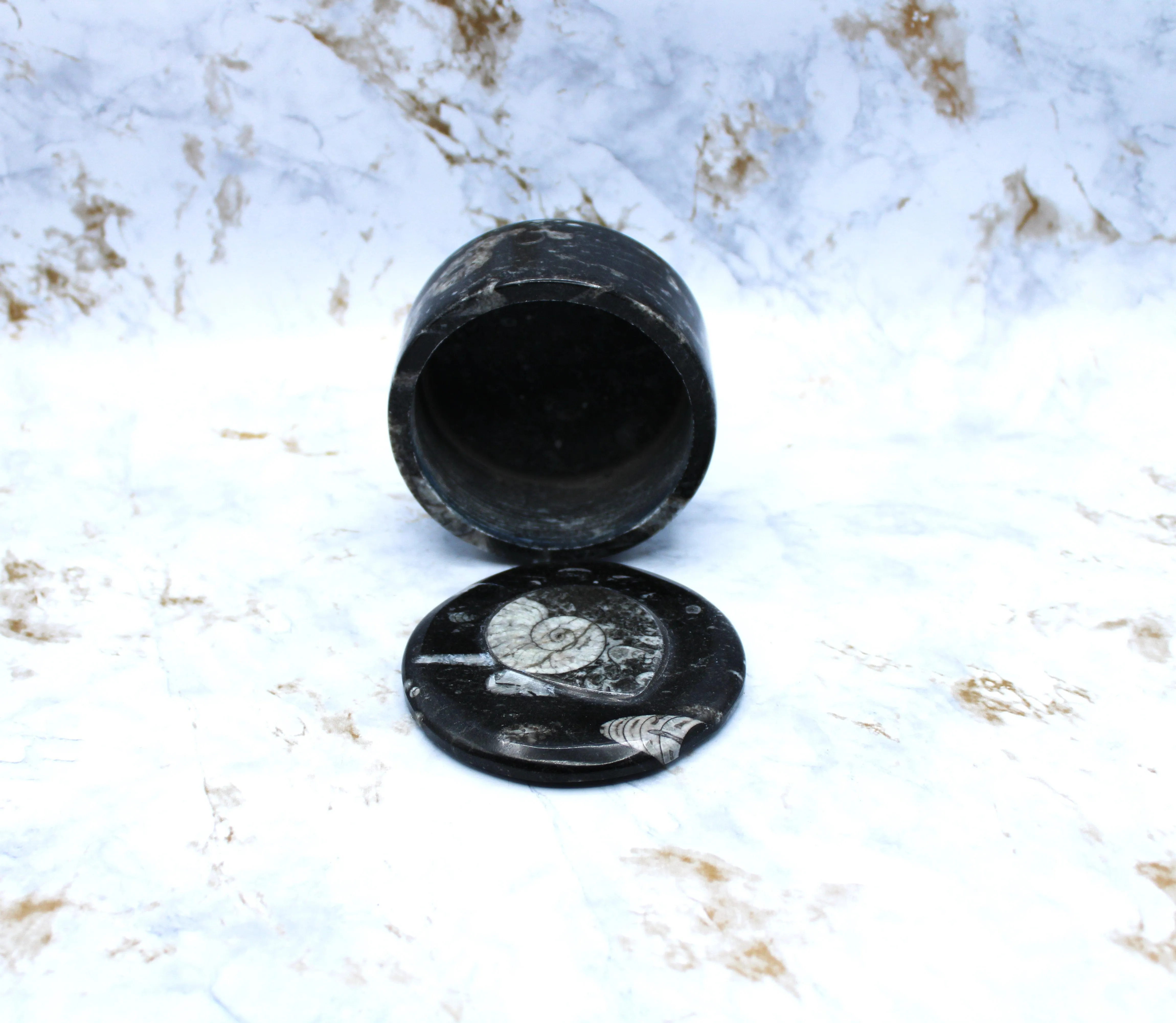 Polished Orthoceras Box