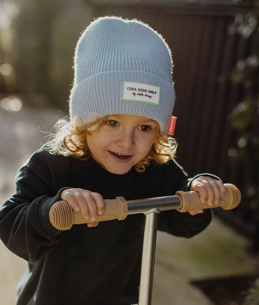 Pop Artic Beanie