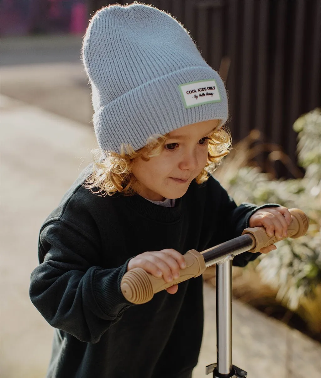 Pop Artic Beanie