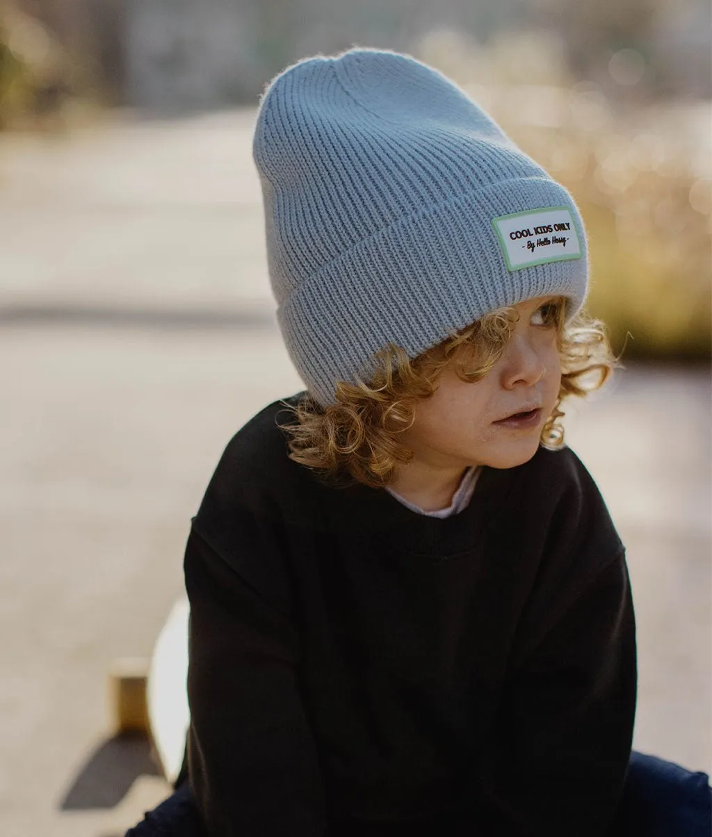 Pop Artic Beanie
