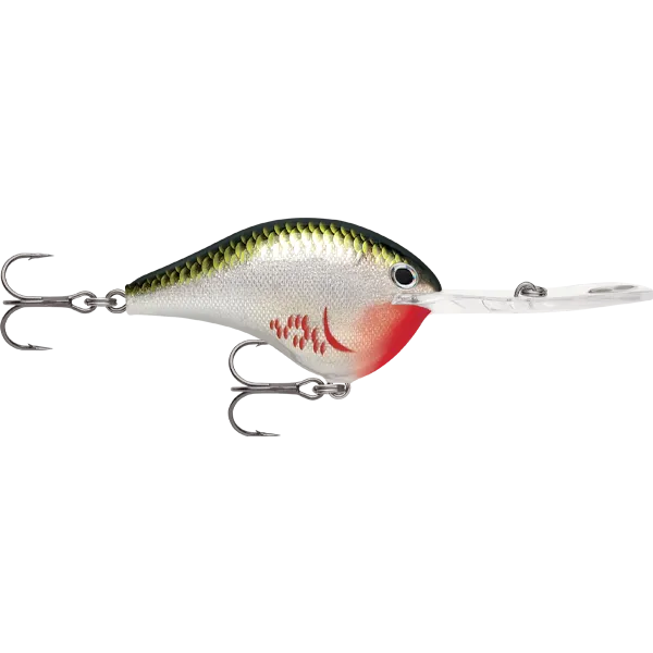 Rapala DT 20 Dives To 20 Foot Crankbait Hard Body Lure