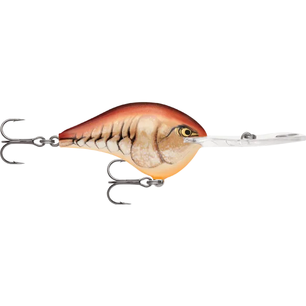 Rapala DT 20 Dives To 20 Foot Crankbait Hard Body Lure