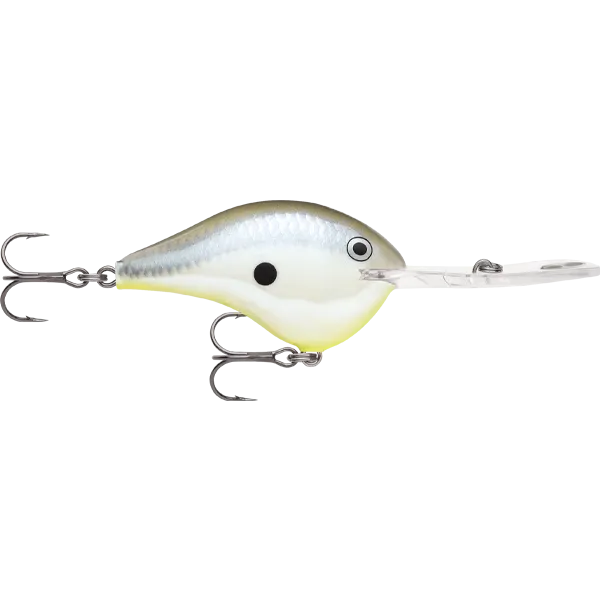 Rapala DT 20 Dives To 20 Foot Crankbait Hard Body Lure