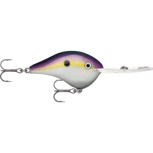 Rapala DT 20 Dives To 20 Foot Crankbait Hard Body Lure
