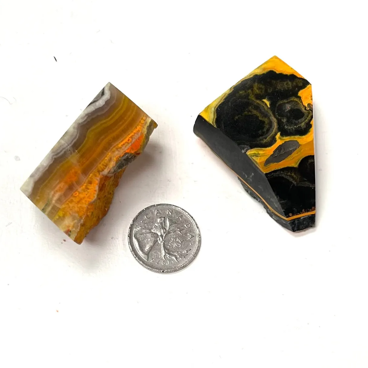 Semi-Polished Bumblebee Jasper Pieces