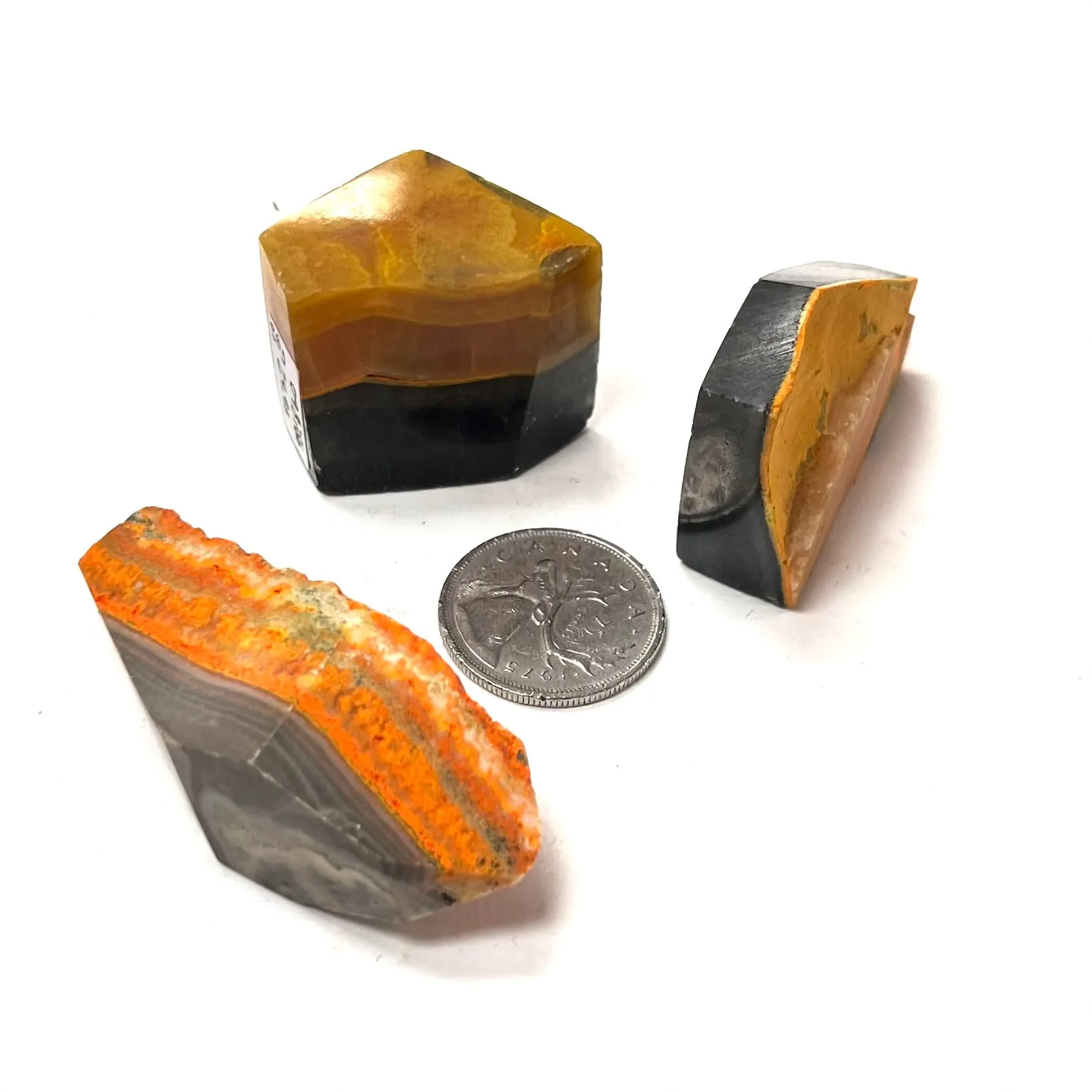 Semi-Polished Bumblebee Jasper Pieces