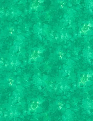 Solidish Lagoon