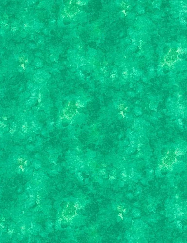 Solidish Lagoon