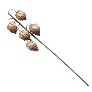 Stem #7