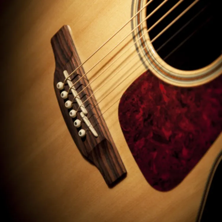 TAKAMINE GN93CE NAT